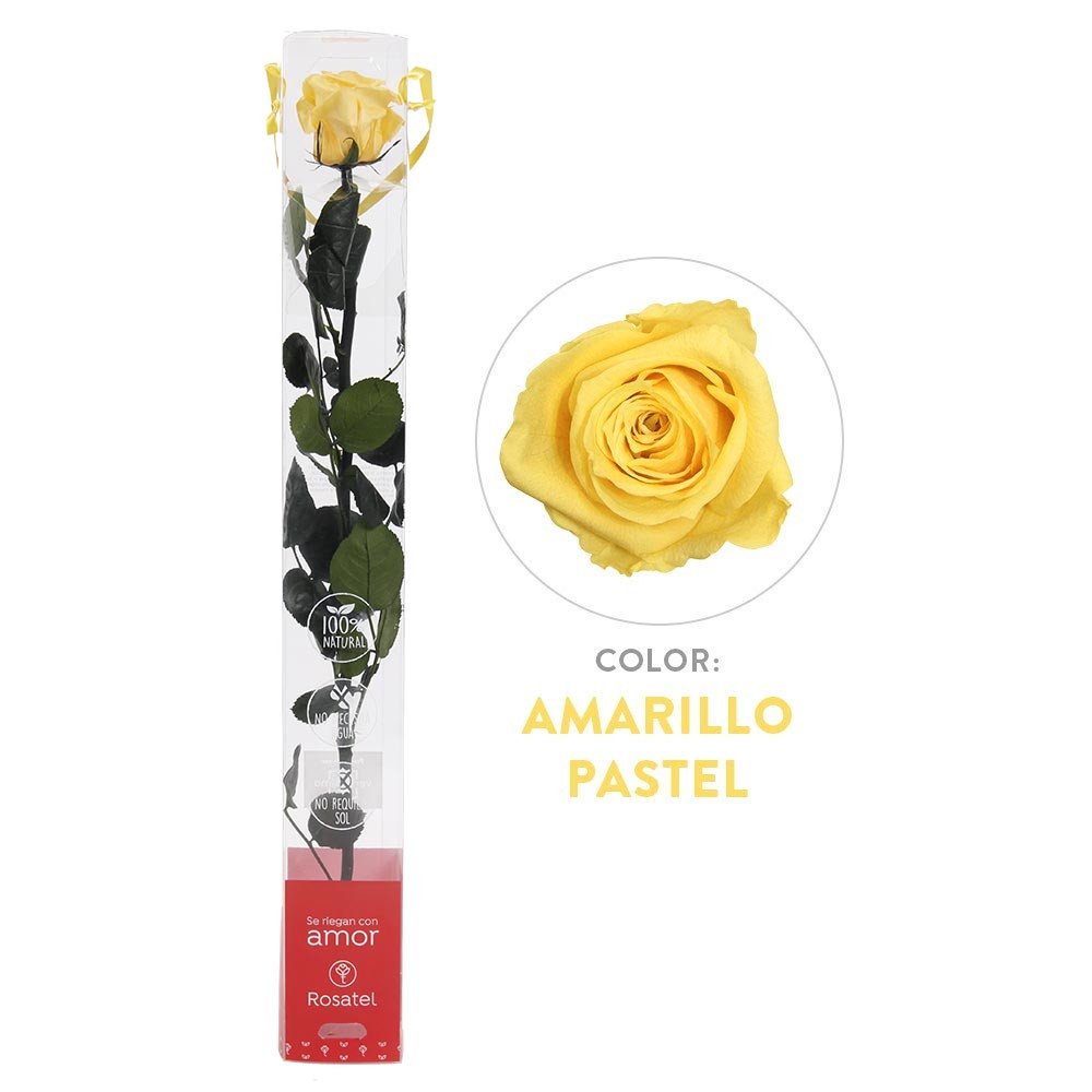 Rosas para regalar amarilla pastel preservada Rosatel Lima
