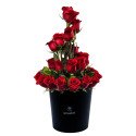 Sombrerera Negra Grande con 30 Rosas Rojas Rosatel