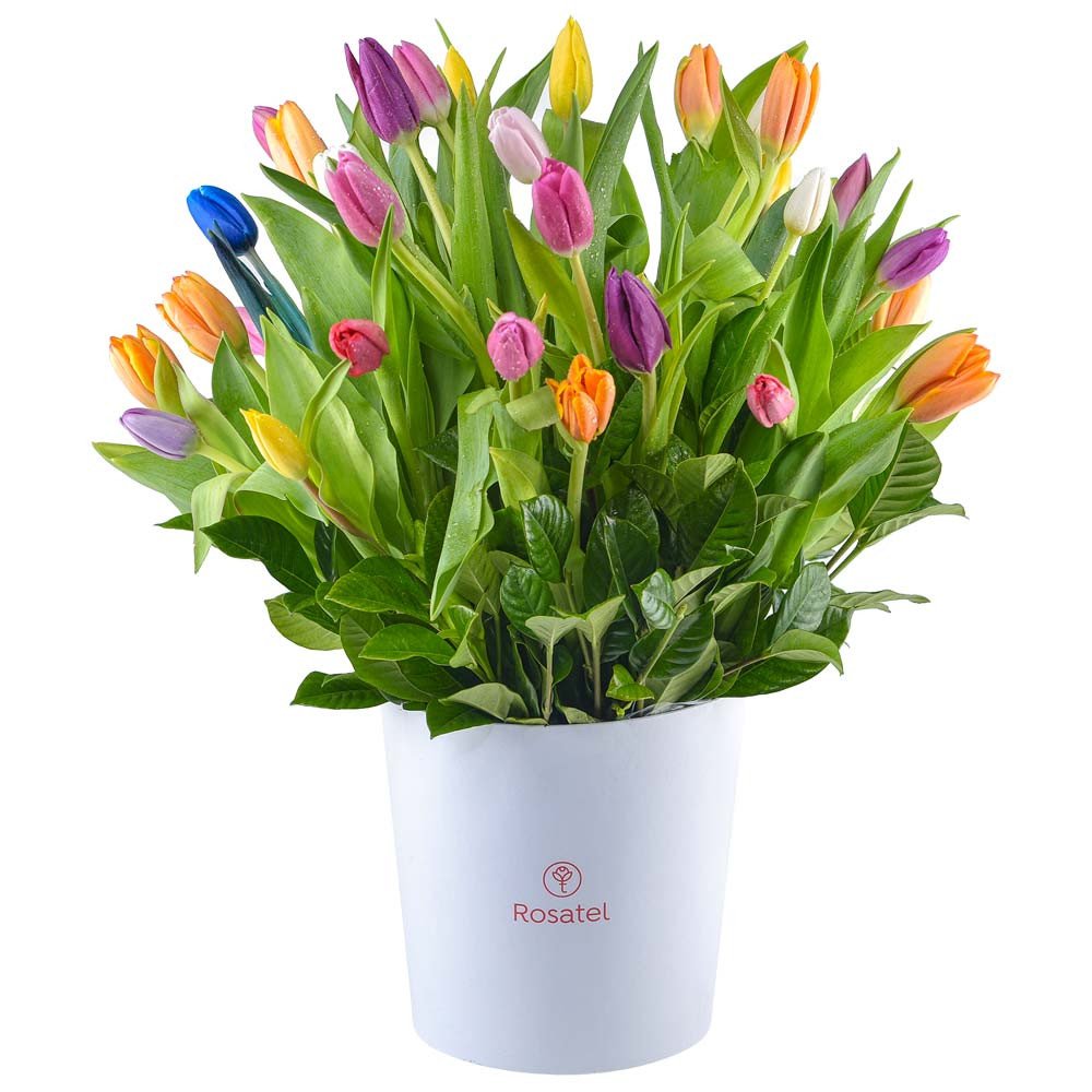 Sombrerera blanca grande con 40 tulipanes colores variados Rosatel