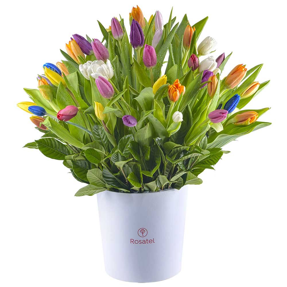 ombrerera Blanca  Grande con 60 Tulipanes Rosatel