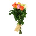 Acompañamiento Paquete con 12 Rosas Colores Rosatel Lima