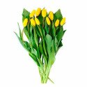 Acompañamiento  Paquete con 10 Tulipanes Amarillos Rosatel Lima