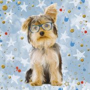 Tarjeta 3D Perrito Sigue Tus Sueños