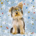 Tarjeta 3D Perrito Sigue Tus Sueños Rosatel