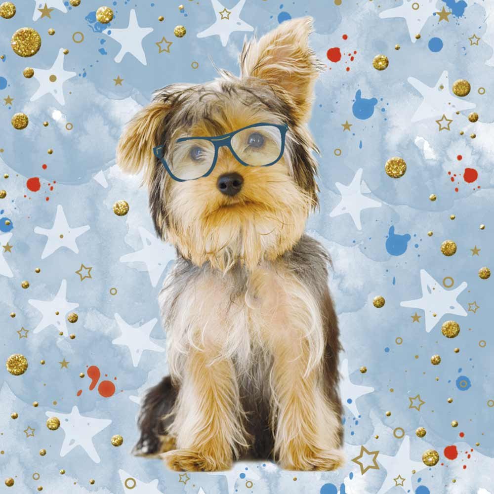 Tarjeta 3D Perrito Sigue Tus Sueños Rosatel