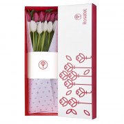 Caja Blanca con 12 Tulipanes Bicolor