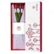 Caja Blanca con 6 Tulipanes Bicolor