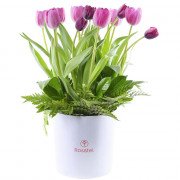 Sombrerera Blanca Grande con 16 Tulipanes Variados