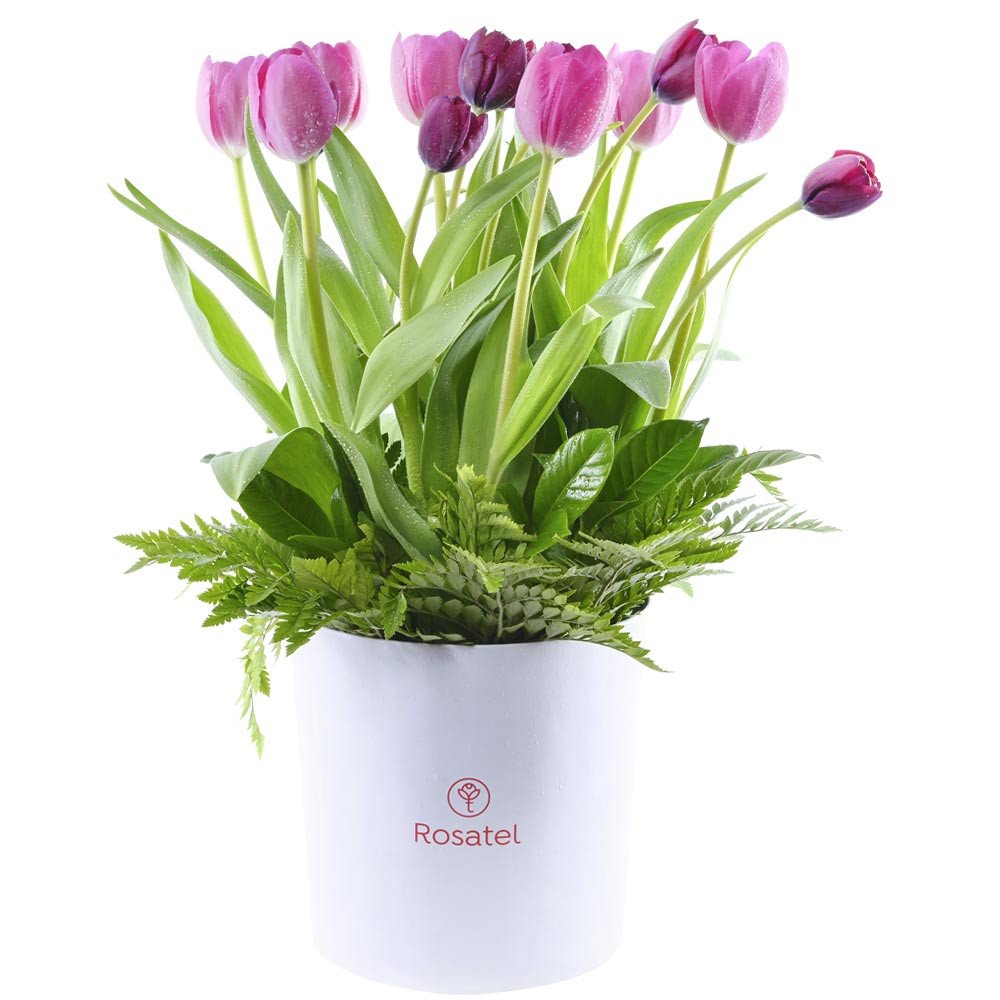 Sombrerera Blanca Grande con 16 Tulipanes Variados Rosatel