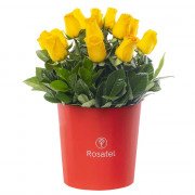 Sombrerera Roja Grande con 15 Rosas