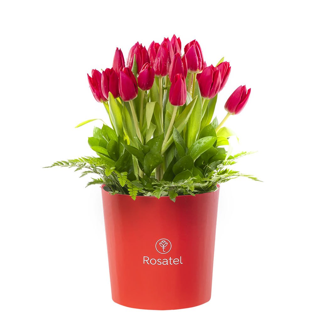 Sombrerera Roja Grande con 20 Tulipanes y Follaje Rosatel