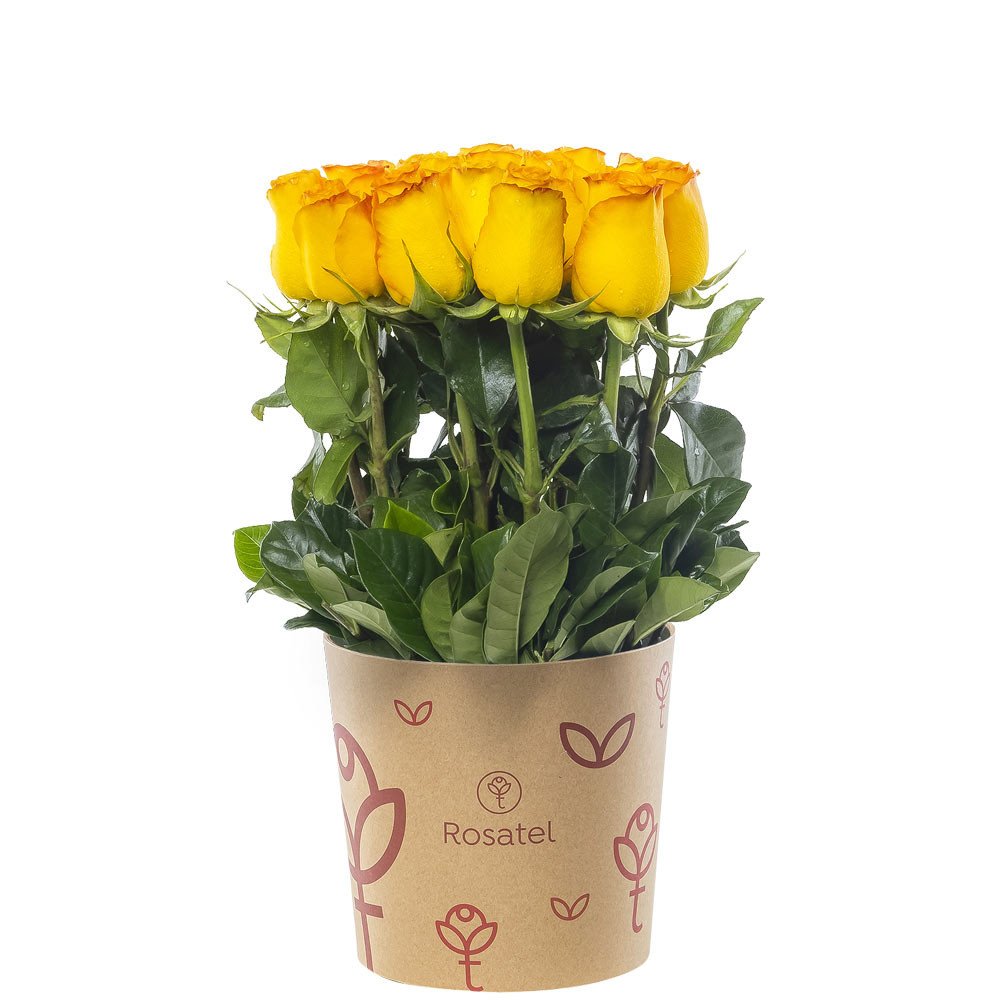 Sombrerera 3R Natural Mediana con 15 Rosas Rosatel