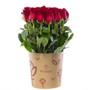 Sombrerera 3R Natural Grande con 25 Rosas