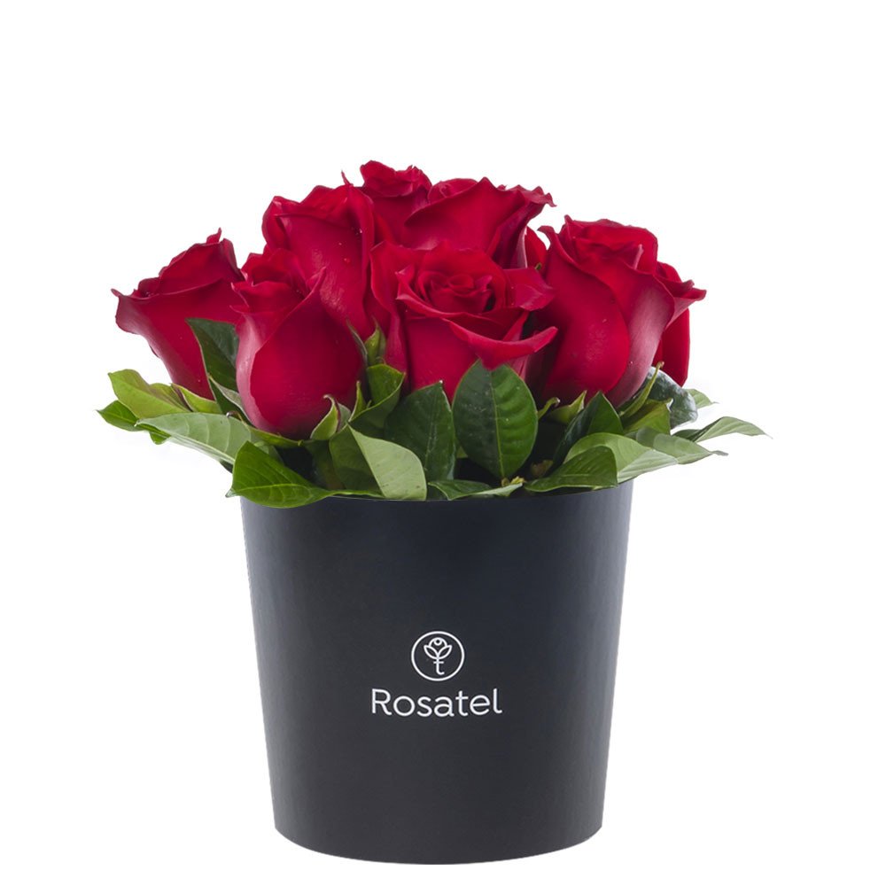 Sombrerera Negra Mediana con 10 Rosas Rosatel