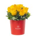 Sombrerera Roja Mediana con 10 Rosas Rosatel