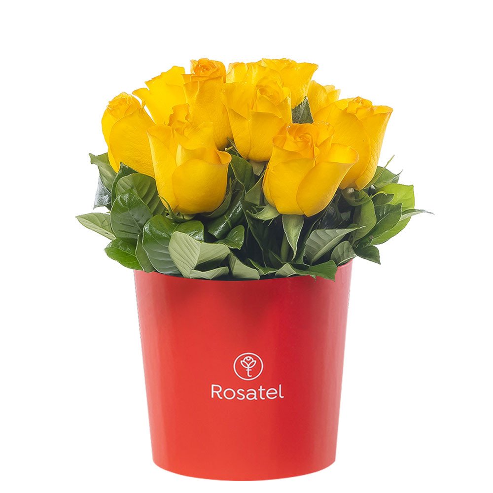 Sombrerera Roja Mediana con 10 Rosas Rosatel
