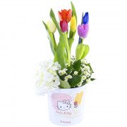 Sombrerera Línea Floral Hello Kitty Tulipanes Variados
