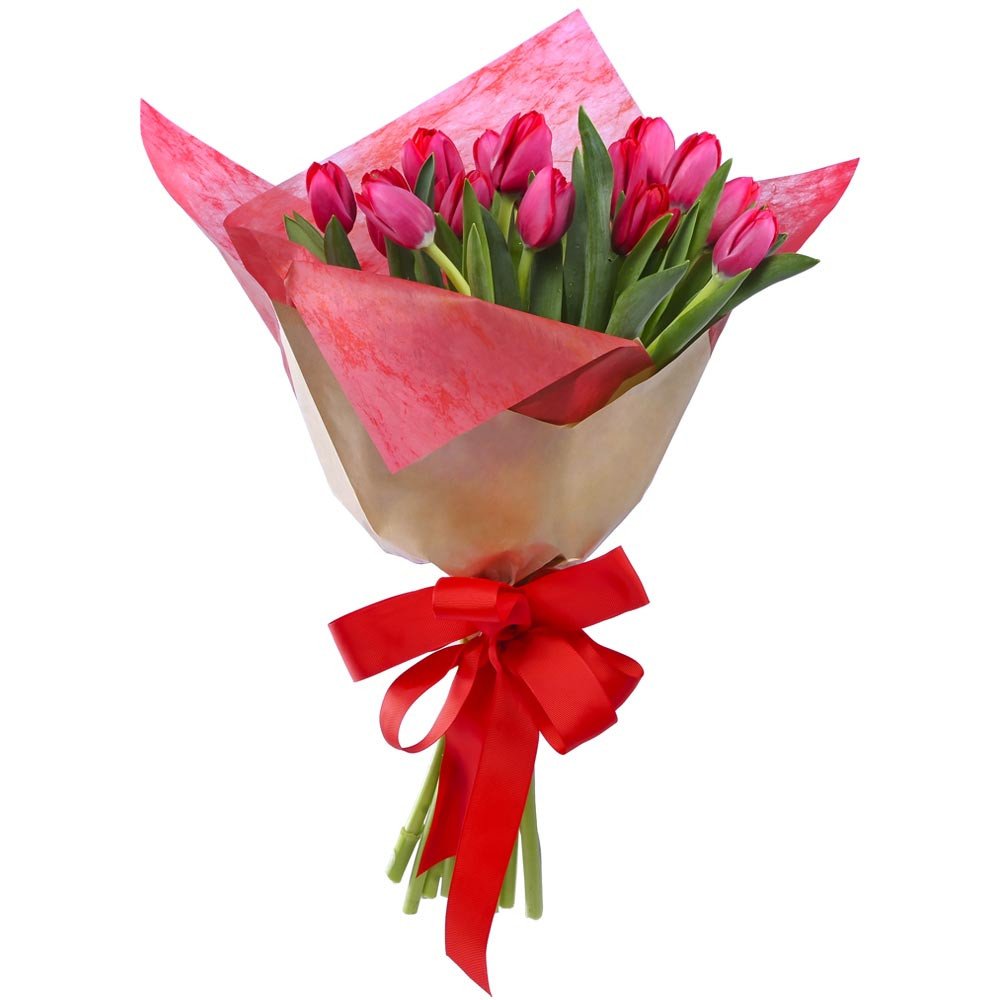 15 Tulipanes rojos en ramo para mi novia Rosatel Lima
