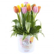 Sombrerera Línea Floral Hello Kitty Tulipanes