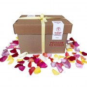 Caja Rosatel Pétalos Variados