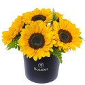 Sombrerera Negra Mediana con Girasoles Rosatel