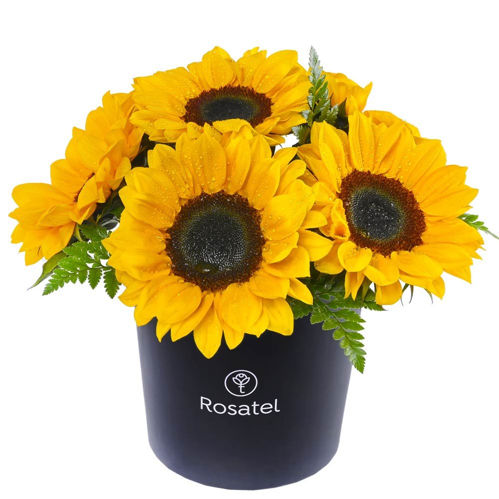 Sombrerera Negra Mediana con Girasoles Rosatel