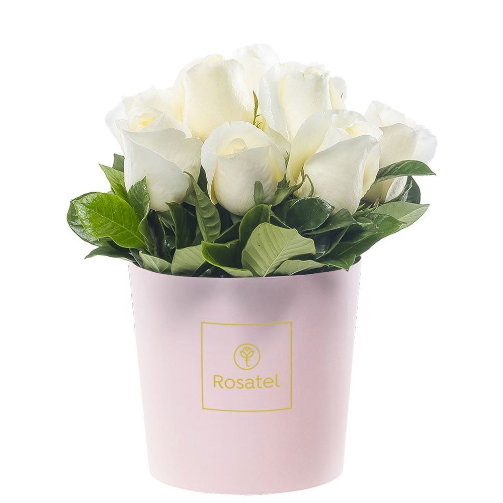 Sombrerera Rosada Mediana con 10 Rosas Rosatel