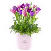 Sombrerera Rosada Grande con 16 Tulipanes