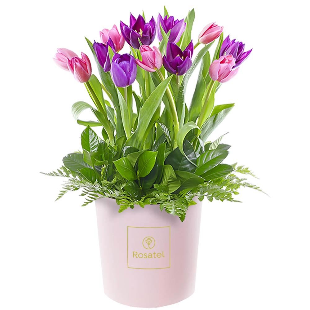 Sombrerera Rosada Mediana con 12 Tulipanes Rosatel