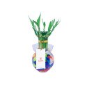 Planta Bambú con 7 Varas