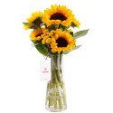 Arreglo Buenos Deseos Girasoles Rosatel