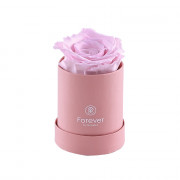 Mini Sombrerera Fucsia Forever con Rosa Preservada