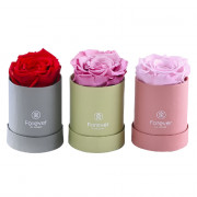 Pack Forever Arreglos Mini