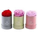Pack Forever Arreglos Mini Rosatel