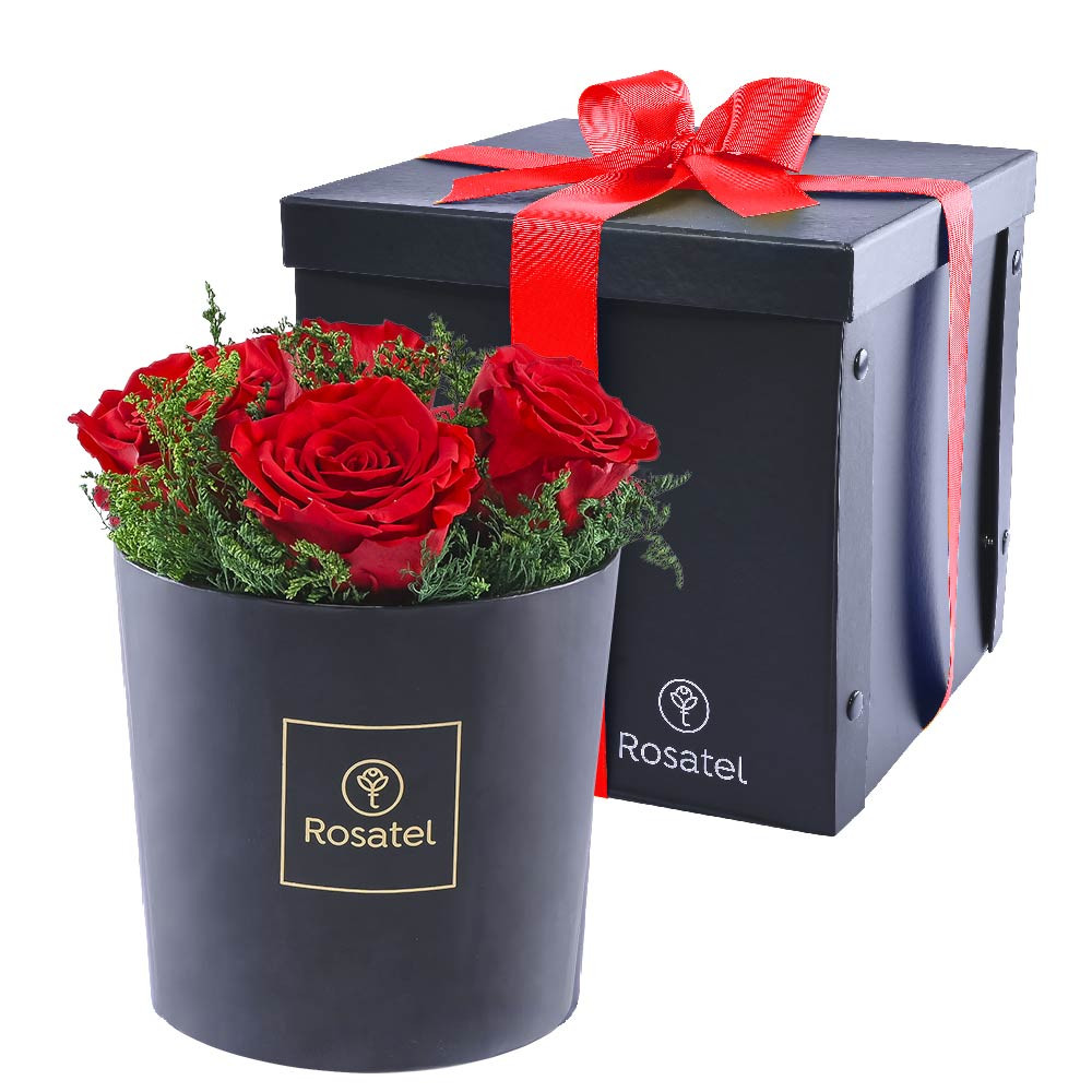 Sombrerera Rosas Preservadas Rojas y Jaspia Rosatel