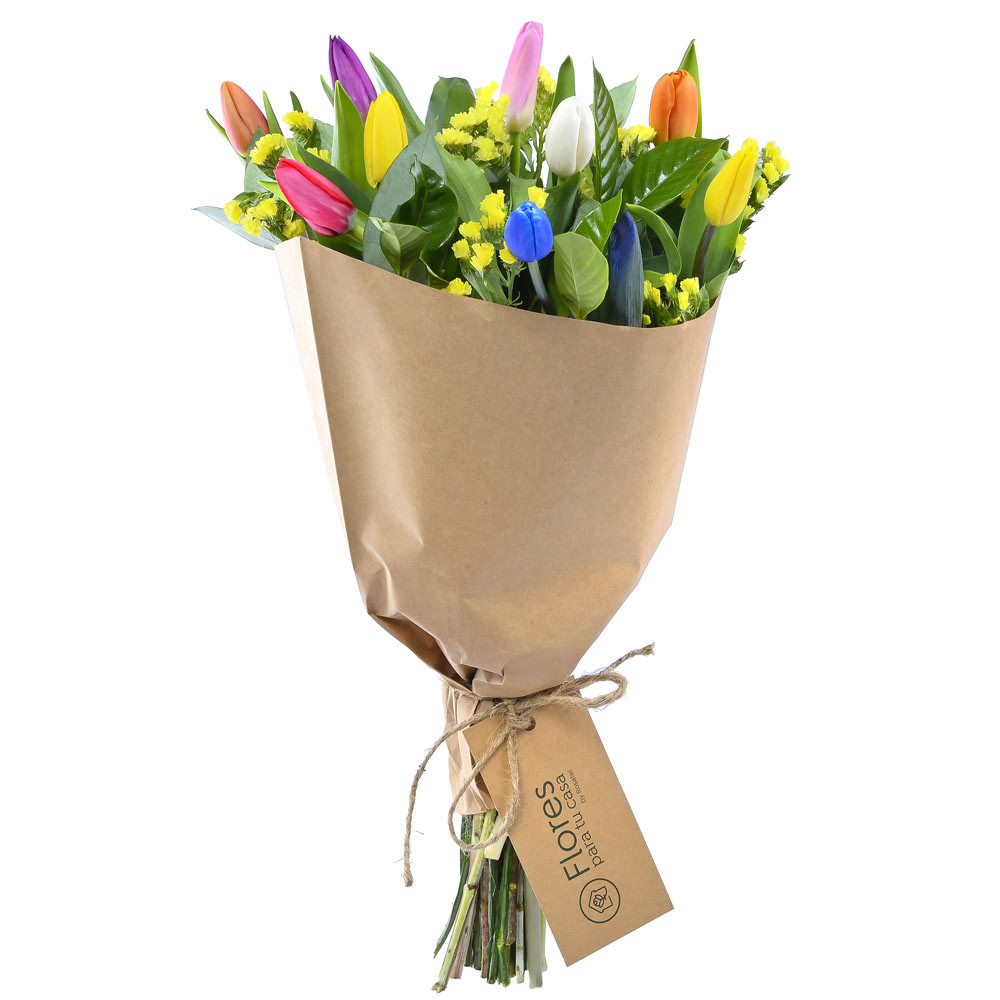 Ramo con 9 tulipanes colores variados flores y follaje Rosatel