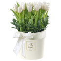Sombrerera Crema Grande con 25 Tulipanes Blancos Rosatel