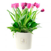 Sombrerera Crema Grande con 16 Tulipanes Variados