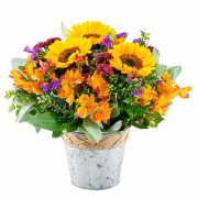 Arreglo Girasoles Primavera