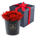 Sombrerera Negra con Rosas Preservadas y Flores Rosatel