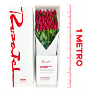Caja Aniversario de 1Metro con 30 Rosas Rojas