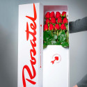 Caja Rosatel con 12 Rosas Rosatel