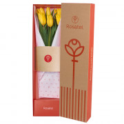Caja Natural con 6 Tulipanes Amarillos