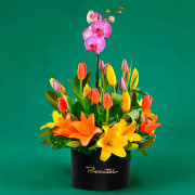 Arreglo Diana Fucsia