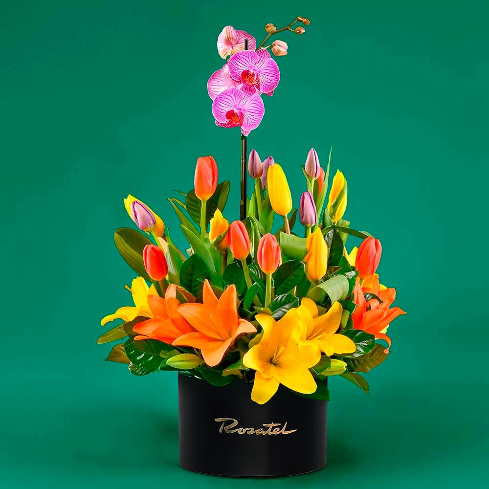 Arreglo Diana Fucsia Rosatel
