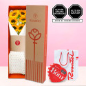 Caja con Girasoles y Chocolates Cacaosuyo Rosatel