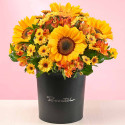 Sombrerera Encanto de Girasoles Rosatel