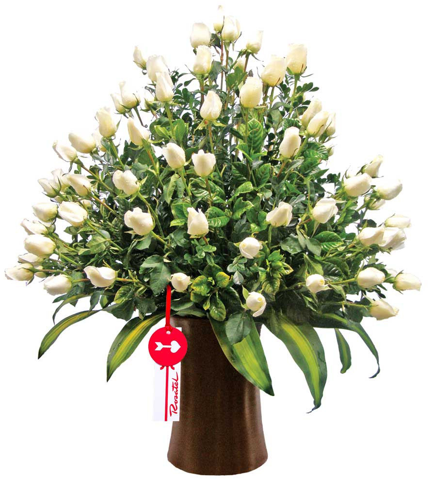 Arreglo kero 100 Rosas Rosatel