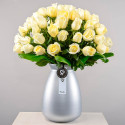 Arreglo Silver Rosas Cremas Rosatel