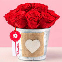 Arreglo Amor Rosas Preservadas Rosatel